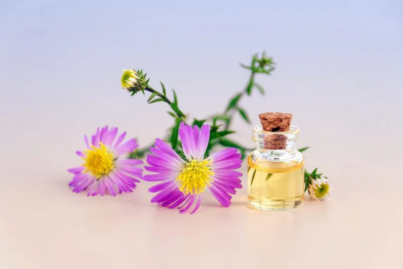 Jakie nuty zapachowe znajdują się w perfumach?